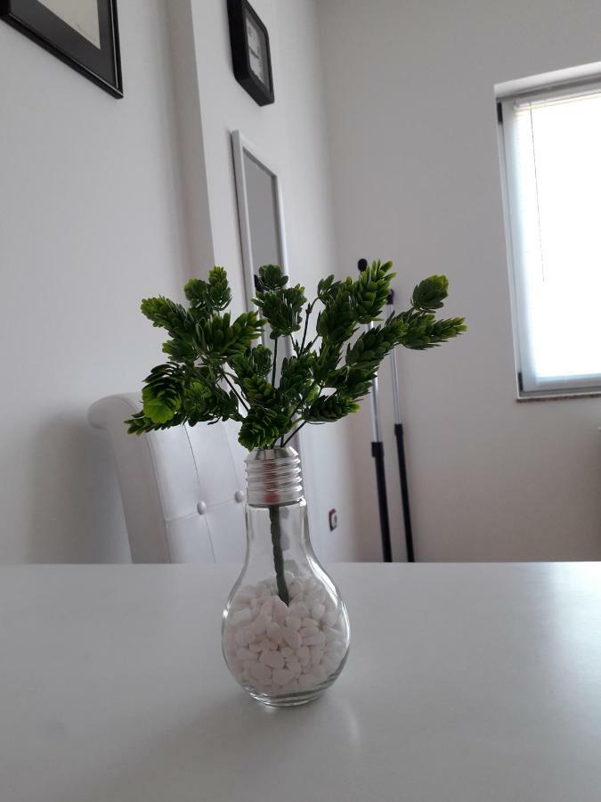 Apartman Dunja Ns 2 Apartment Novi Sad Luaran gambar